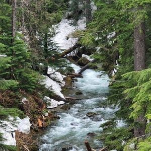 Meet your Posher, Stephanie bazzar